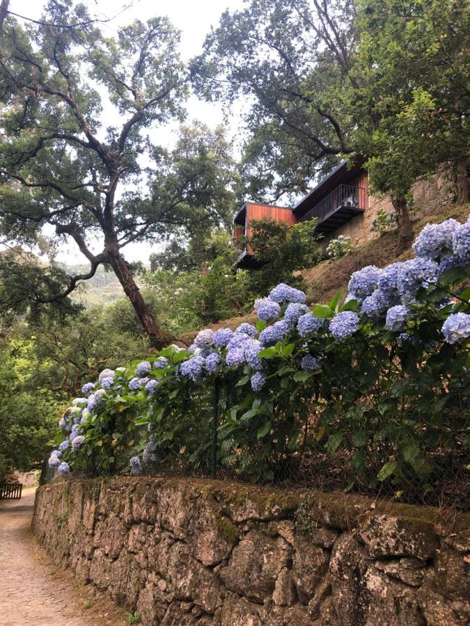 Sobreiro Valley - Casa Firmino Vieira do Minho Εξωτερικό φωτογραφία