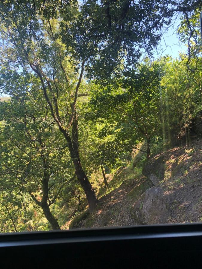Sobreiro Valley - Casa Firmino Vieira do Minho Εξωτερικό φωτογραφία