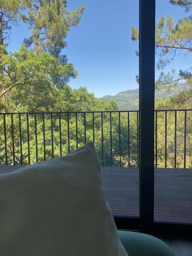 Sobreiro Valley - Casa Firmino Vieira do Minho Εξωτερικό φωτογραφία