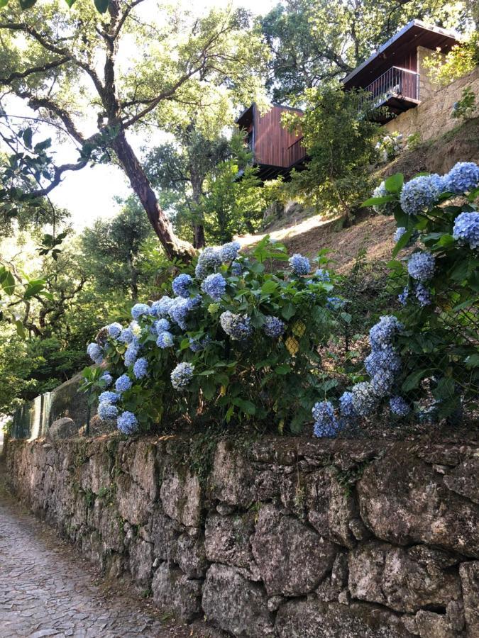 Sobreiro Valley - Casa Firmino Vieira do Minho Εξωτερικό φωτογραφία